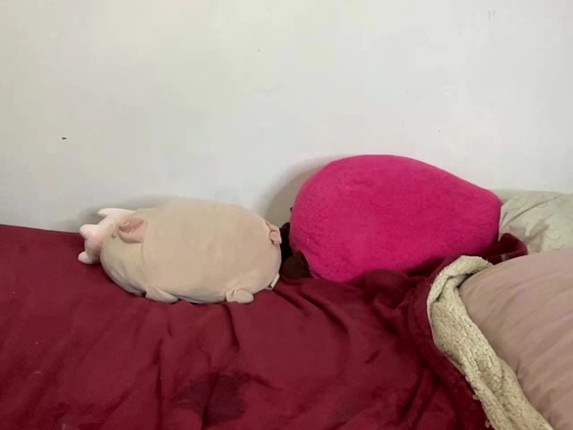Webcam model ikendra