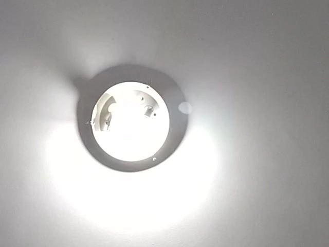 Webcam model Darimdia