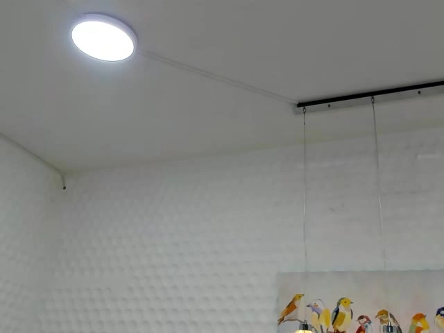 Webcam model Munaiky